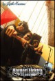 /album/a2%c2%ba%20edi%c3%a7%c3%a3o/a079-jpg/